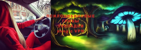 мяу мяу кристалл Богданович