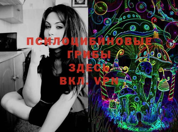 прущая мука Богородск