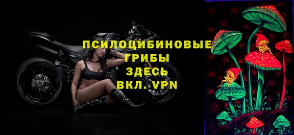 прущая мука Богородск