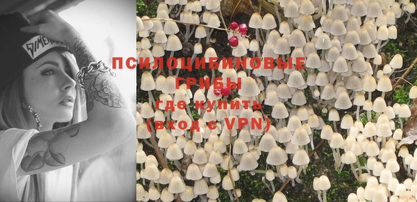 мяу мяу кристалл Богданович