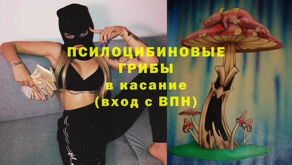 мяу мяу кристалл Богданович