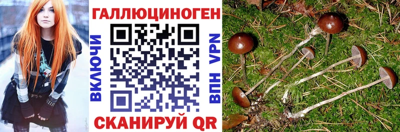 kraken вход  Янаул  мориарти телеграм  Галлюциногенные грибы Psilocybe 
